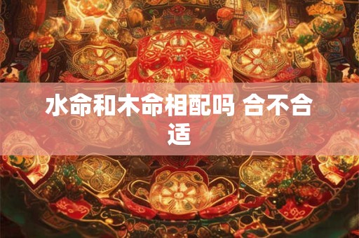 水命和木命相配吗 合不合适