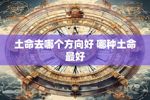 土命去哪个方向好 哪种土命最好