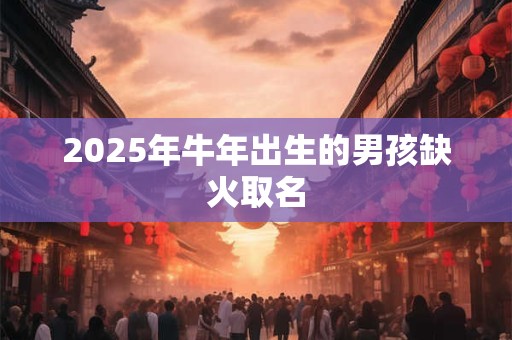 2025年牛年出生的男孩缺火取名