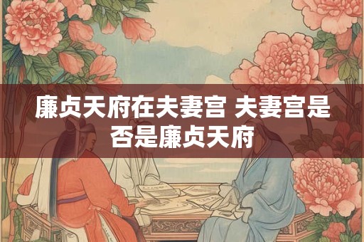 廉贞天府在夫妻宫 夫妻宫是否是廉贞天府