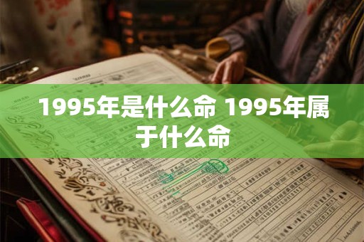 1995年是什么命 1995年属于什么命