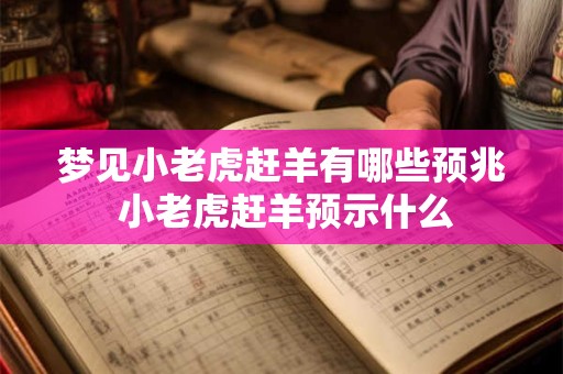 梦见小老虎赶羊有哪些预兆 小老虎赶羊预示什么
