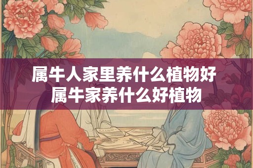 属牛人家里养什么植物好 属牛家养什么好植物