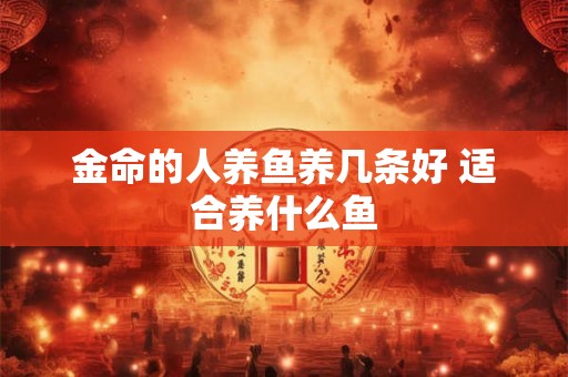 金命的人养鱼养几条好 适合养什么鱼
