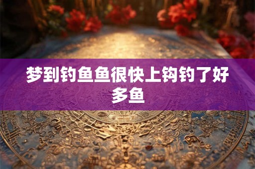 梦到钓鱼鱼很快上钩钓了好多鱼