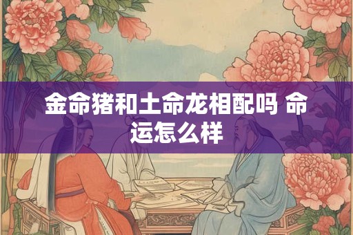 金命猪和土命龙相配吗 命运怎么样