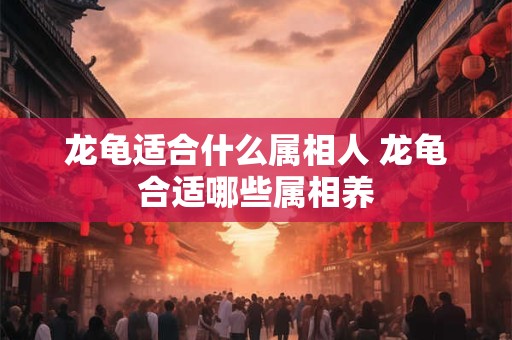 龙龟适合什么属相人 龙龟合适哪些属相养
