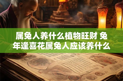 属兔人养什么植物旺财 兔年逢喜花属兔人应该养什么植物
