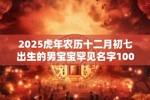 2025虎年农历十二月初七出生的男宝宝罕见名字100分