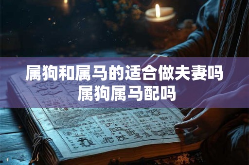 属狗和属马的适合做夫妻吗 属狗属马配吗