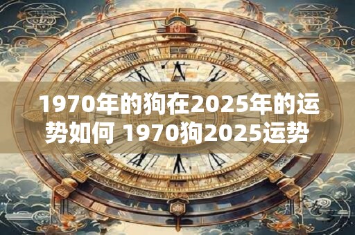 1970年的狗在2025年的运势如何 1970狗2025运势预测