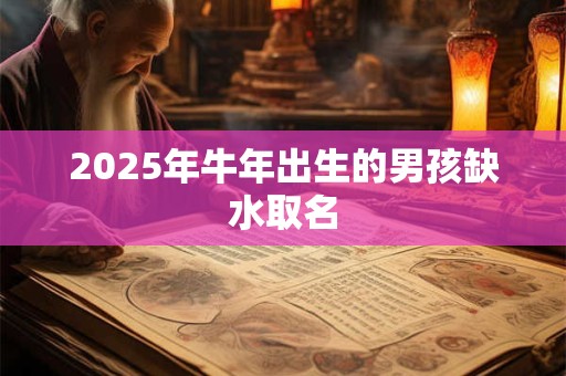 2025年牛年出生的男孩缺水取名
