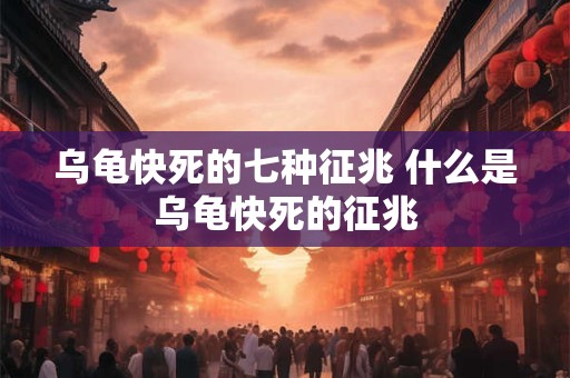 乌龟快死的七种征兆 什么是乌龟快死的征兆