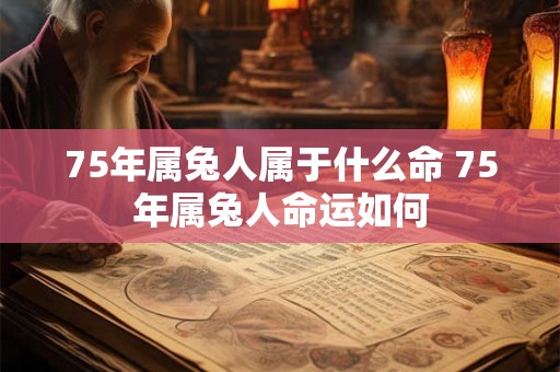 75年属兔人属于什么命 75年属兔人命运如何