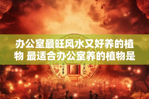 办公室最旺风水又好养的植物 最适合办公室养的植物是什么