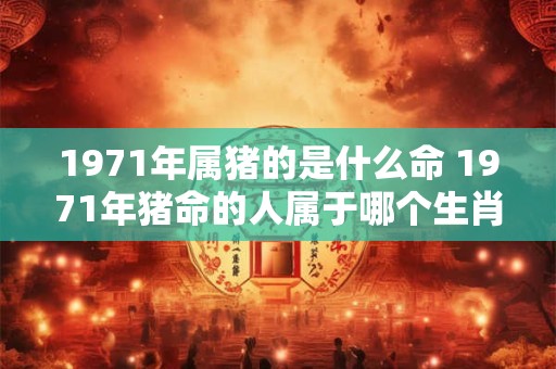 1971年属猪的是什么命 1971年猪命的人属于哪个生肖