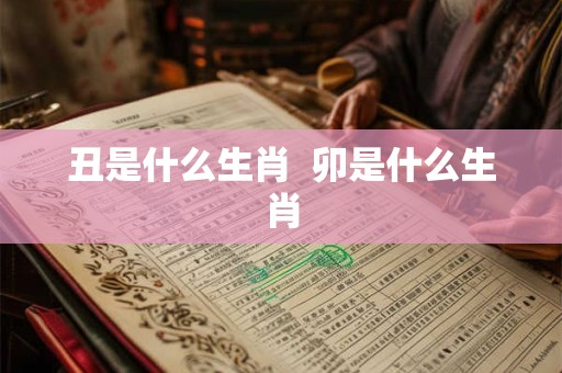 丑是什么生肖  卯是什么生肖