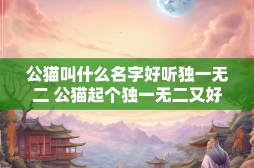 公猫叫什么名字好听独一无二 公猫起个独一无二又好听的名字