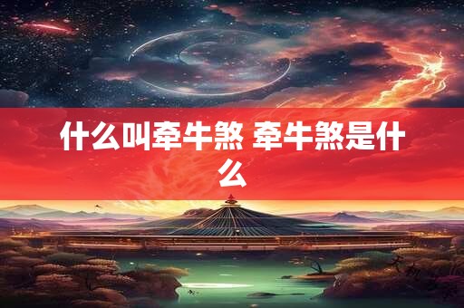什么叫牵牛煞 牵牛煞是什么