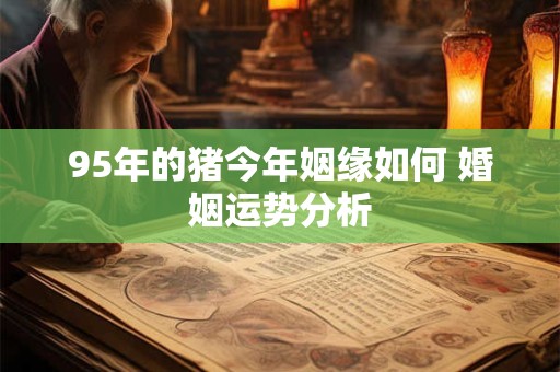 95年的猪今年姻缘如何 婚姻运势分析