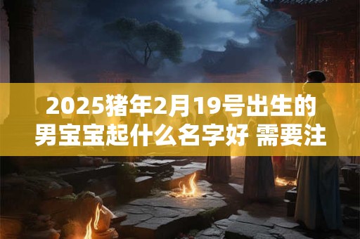 2025猪年2月19号出生的男宝宝起什么名字好 需要注意什么