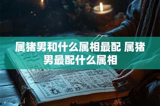 属猪男和什么属相最配 属猪男最配什么属相
