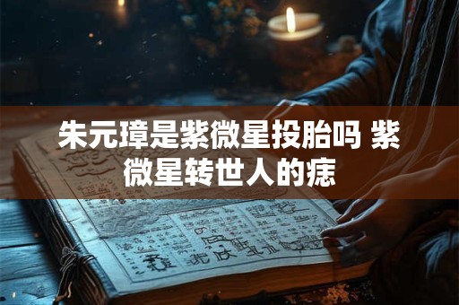 朱元璋是紫微星投胎吗 紫微星转世人的痣