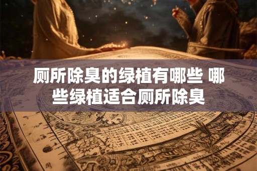 厕所除臭的绿植有哪些 哪些绿植适合厕所除臭