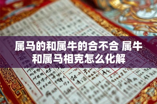 属马的和属牛的合不合 属牛和属马相克怎么化解