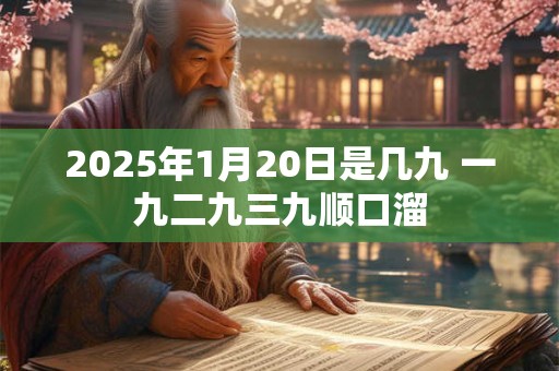 2025年1月20日是几九 一九二九三九顺口溜