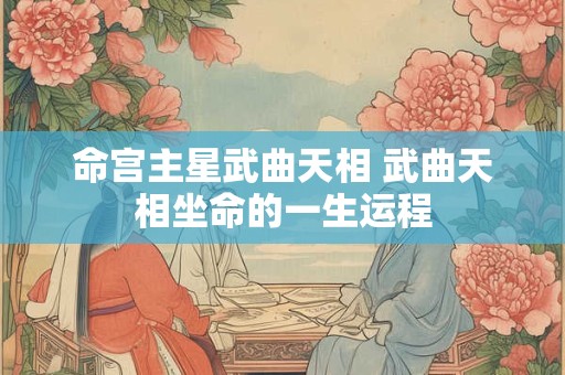 命宫主星武曲天相 武曲天相坐命的一生运程