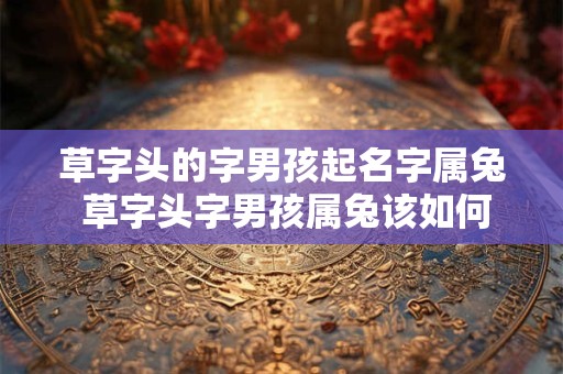 草字头的字男孩起名字属兔 草字头字男孩属兔该如何起名