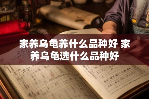 家养乌龟养什么品种好 家养乌龟选什么品种好