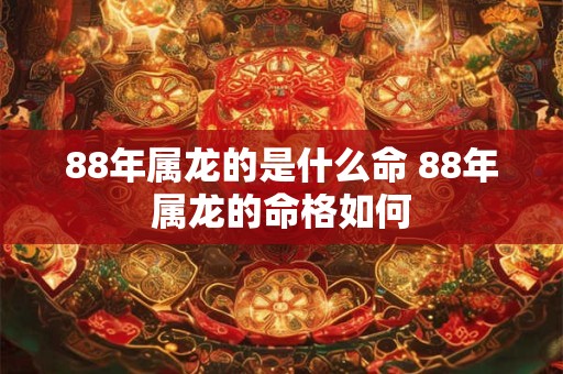 88年属龙的是什么命 88年属龙的命格如何