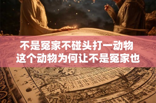 不是冤家不碰头打一动物 这个动物为何让不是冤家也碰头