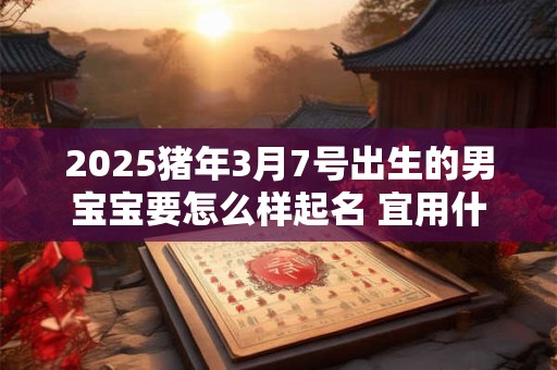 2025猪年3月7号出生的男宝宝要怎么样起名 宜用什么字