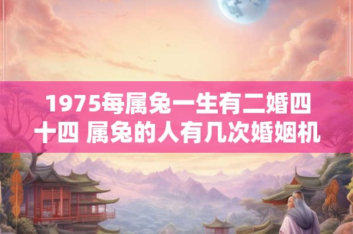 1975每属兔一生有二婚四十四 属兔的人有几次婚姻机会