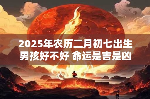 2025年农历二月初七出生男孩好不好 命运是吉是凶 2025年农历二月初七出生男孩好不好 命运是吉是凶