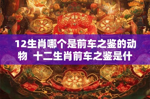 12生肖哪个是前车之鉴的动物  十二生肖前车之鉴是什么动物