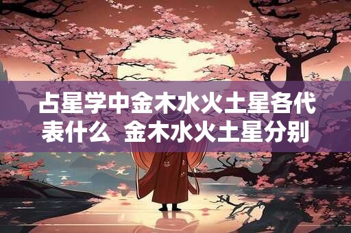 占星学中金木水火土星各代表什么  金木水火土星分别掌管什么