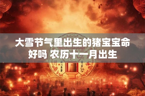 大雪节气里出生的猪宝宝命好吗 农历十一月出生