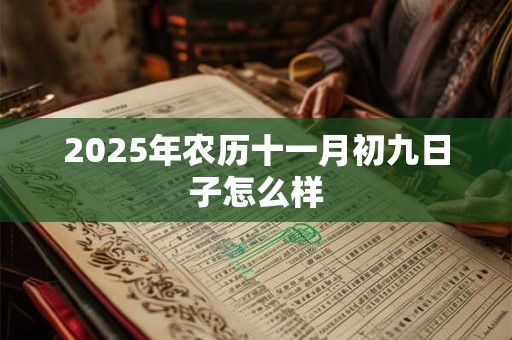 2025年农历十一月初九日子怎么样