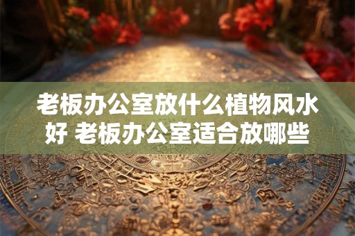 老板办公室放什么植物风水好 老板办公室适合放哪些植物