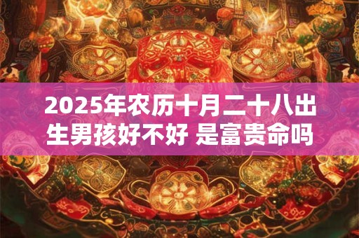 2025年农历十月二十八出生男孩好不好 是富贵命吗