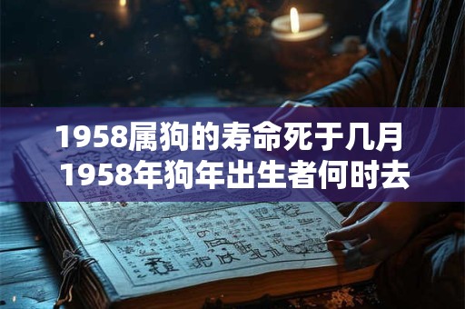 1958属狗的寿命死于几月 1958年狗年出生者何时去世