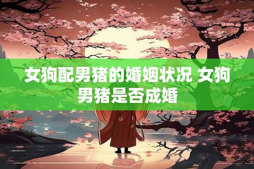 女狗配男猪的婚姻状况 女狗男猪是否成婚