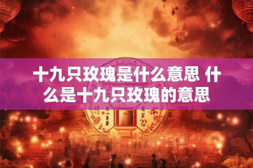 十九只玫瑰是什么意思 什么是十九只玫瑰的意思
