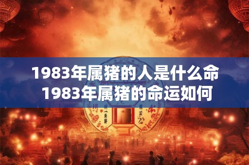 1983年属猪的人是什么命 1983年属猪的命运如何
