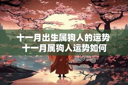 十一月出生属狗人的运势 十一月属狗人运势如何