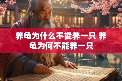 养龟为什么不能养一只 养龟为何不能养一只